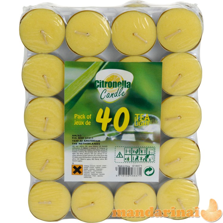 TEALIGHTY 40 SZT CITRONELLA