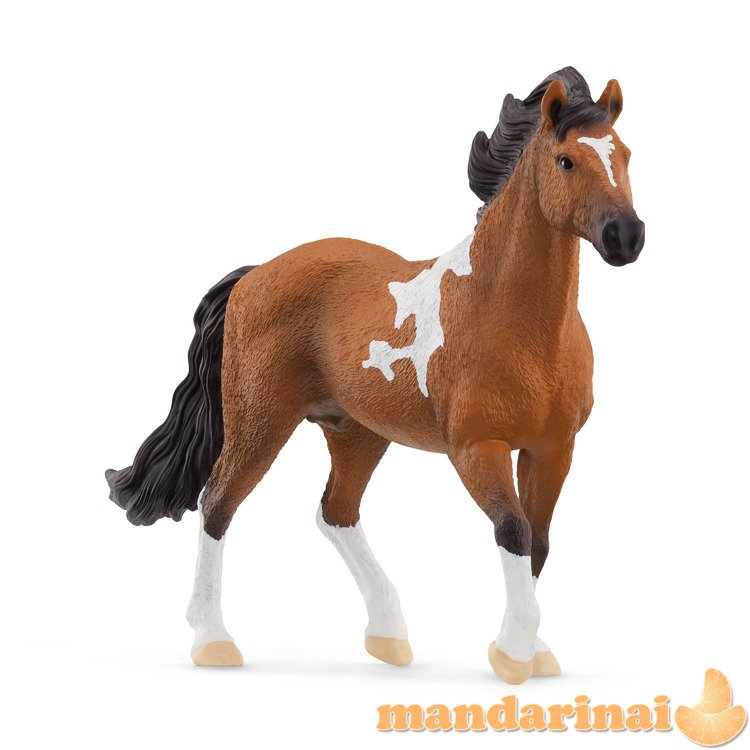 SCHLEICH HORSE CLUB Mangalarga Marchador veislės žirgas