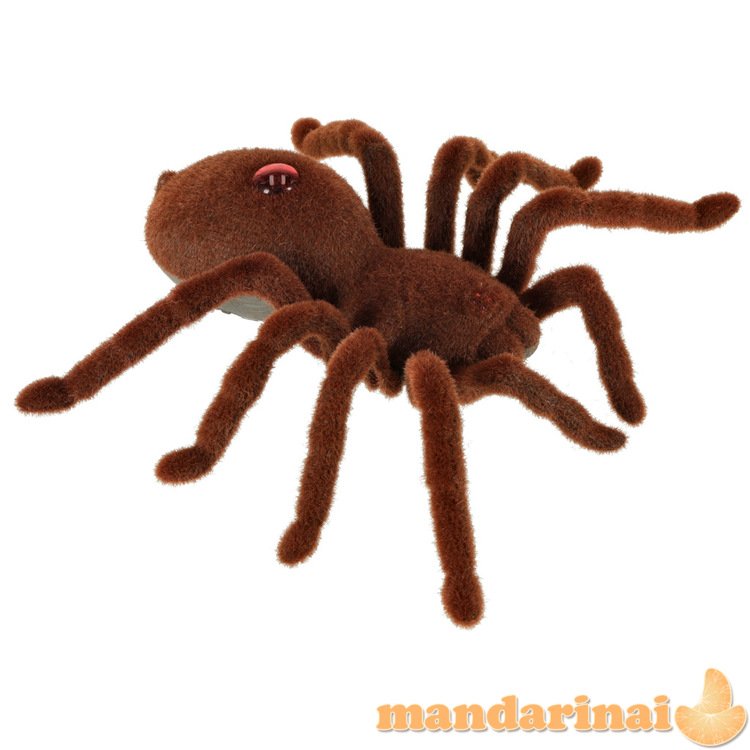 Nuotoliniu būdu valdomas TARANTULA Spider + PILOT