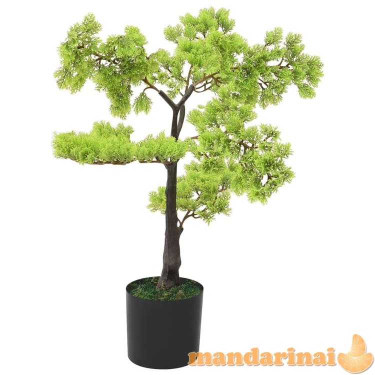 Dirbtinis kiparisinis bonsai medelis su vazonu, 60cm, žalias