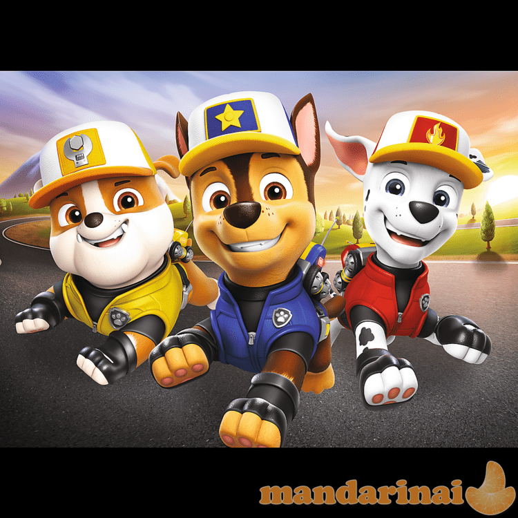 TREFL PAW PATROL Mini Maxi dėlionė „Šuniukai-patruliai  20 det.