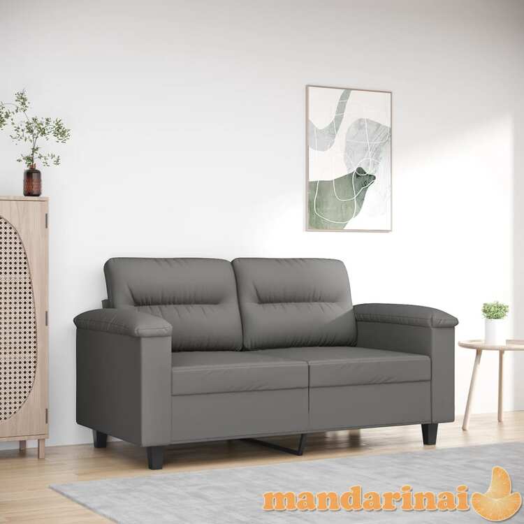 Dvivietė sofa, tamsiai pilka, 120cm, mikropluošto audinys