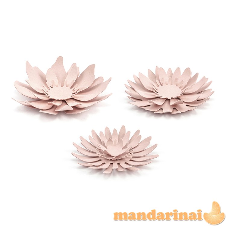 Paper decorations Flowers, powder pink (1 pkt / 3 pc.)