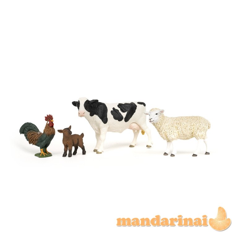 SCHLEICH FARM WORLD Pradinis Rinkinys