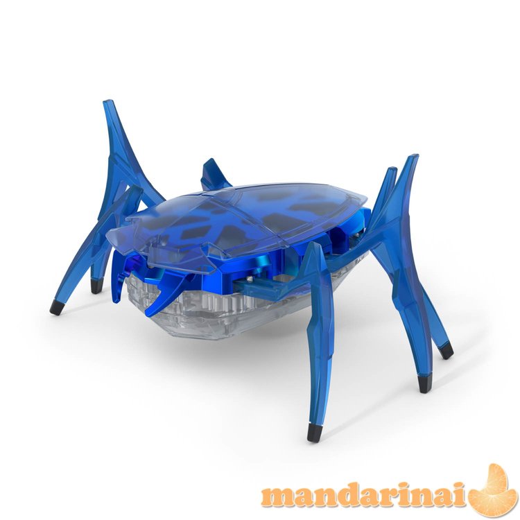 HEXBUG Interaktyvus skarabėjus