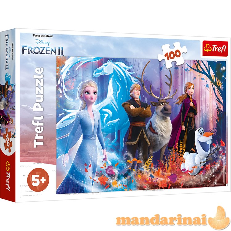 TREFL FROZEN dėlionė „Ledo šalis 2“, 100 det.