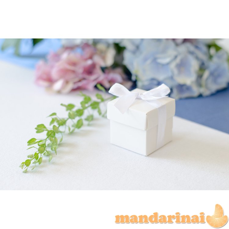 Boxes with a ribbon, white (1 pkt / 10 pc.)