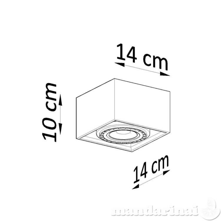 Plfond keturi 1 natūrali mediena