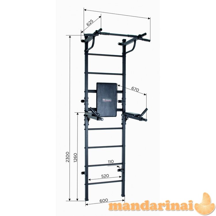 Sporto kompleksas (gimnastikos sienelė) START pilkas, 230x61cm