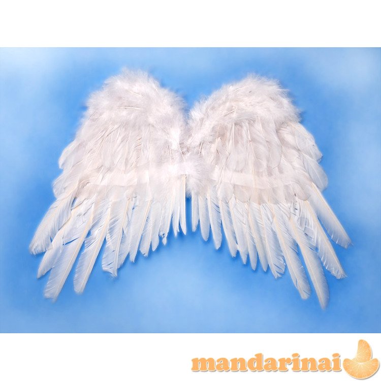 Angel s wings, white, 53 x 37cm