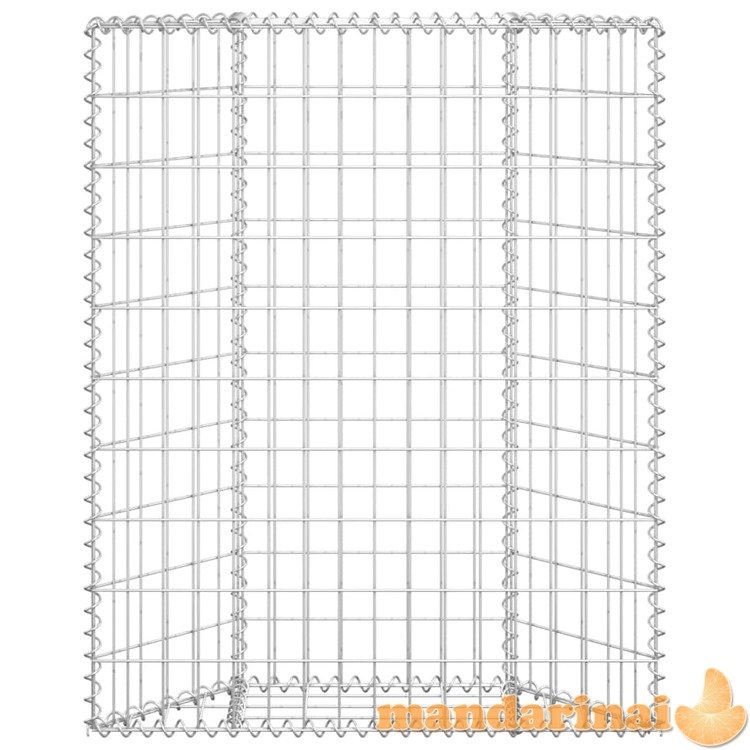 Gabiono vazonas, 80x20x100cm, galvanizuotas plienas, aukštas