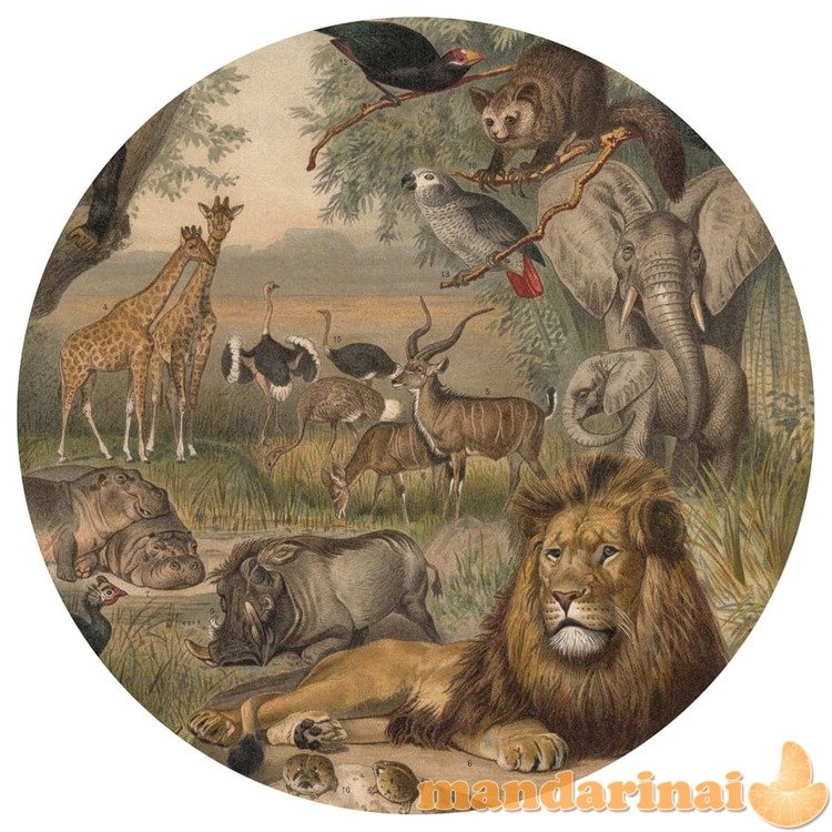 Wallart tapetai animals of africa, 190cm, apskriti