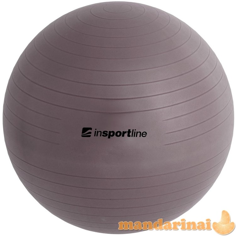 Gimnastikos kamuolys + pompa inSPORTline Top Ball 65cm