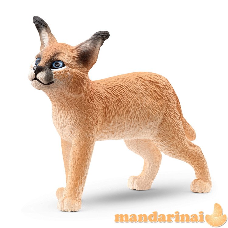 SCHLEICH WILD LIFE Karakalo jauniklis