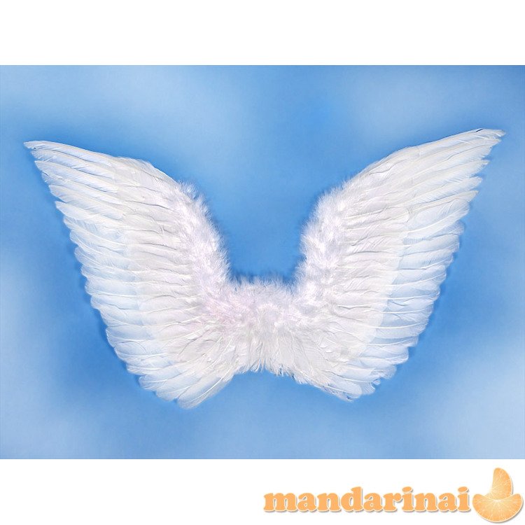 Angel s wings, white, 75 x 45cm