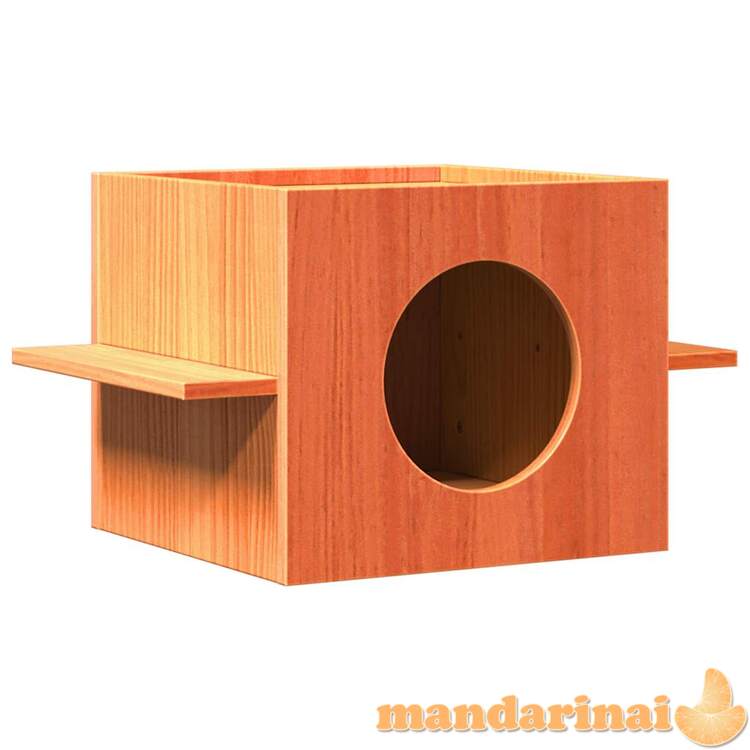 Cat house wax ruda 51x35x30 cm pušies masyvo