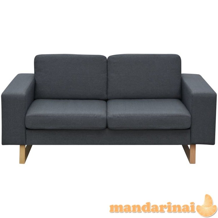 Dvivietė medžiaginė sofa, tamsiai pilkos spalvos