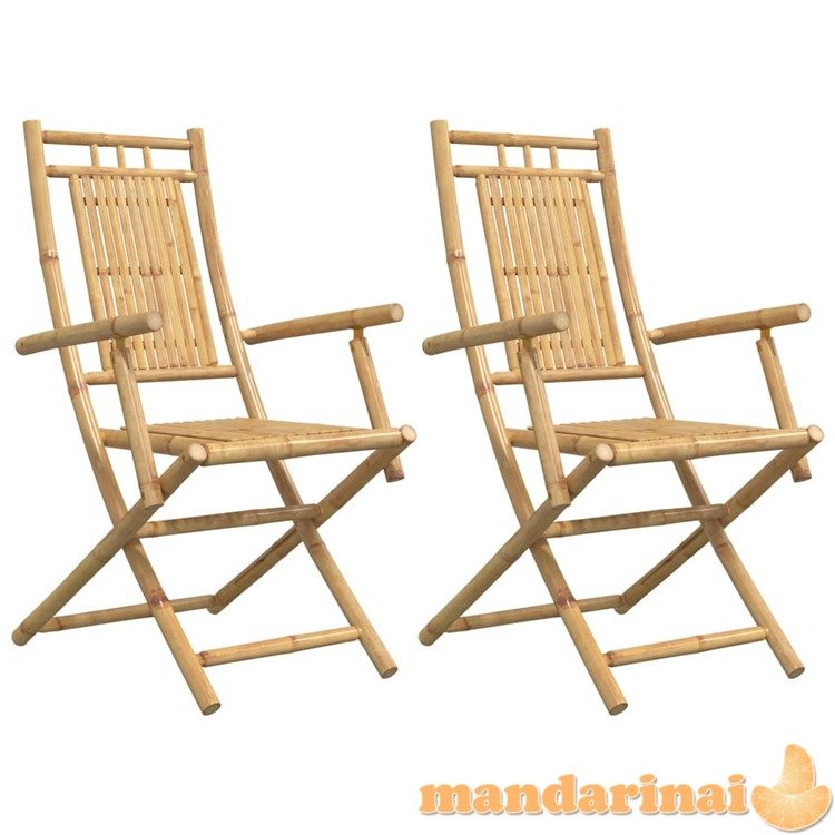Sulankstomos sodo kėdės, 2vnt., 53x66x99cm, bambukas