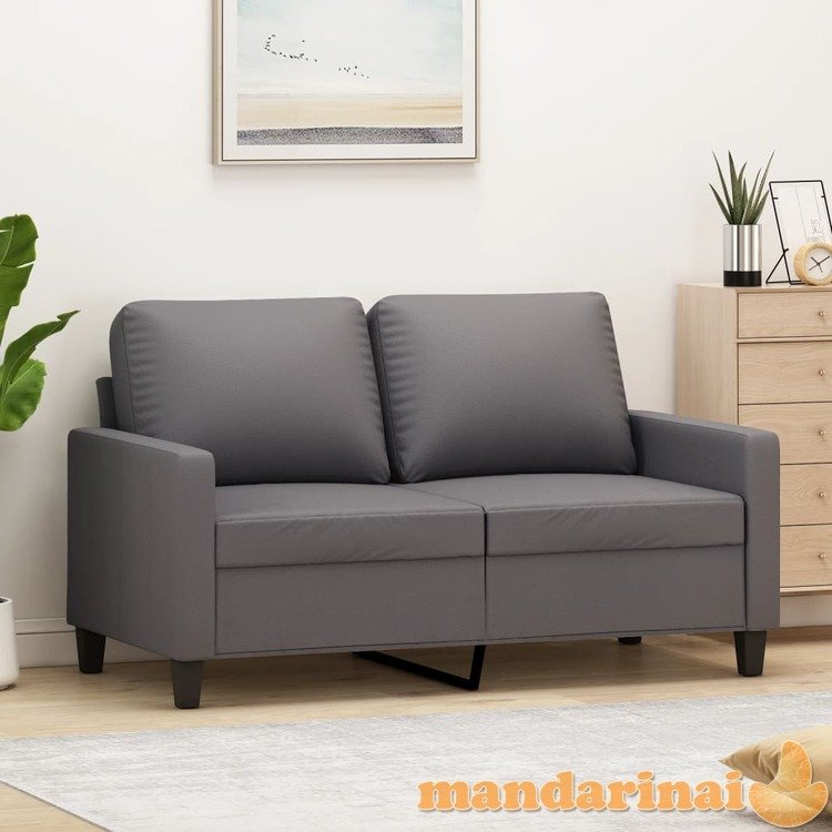 Dvivietė sofa, pilkos spalvos, 120cm, dirbtinė oda