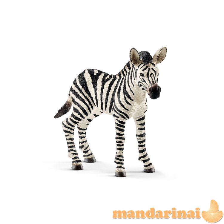 SCHLEICH WILD LIFE Zebriukas