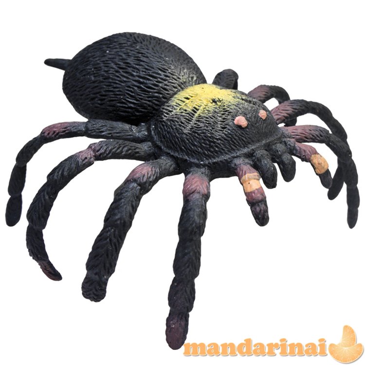 REP PALS Guminis tarantulas