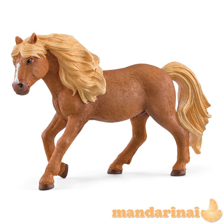 SCHLEICH HORSE CLUB Islandijos ponis