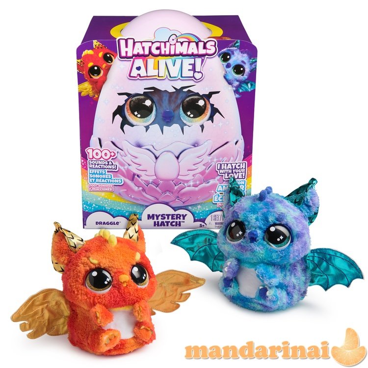 HATCHIMALS Interaktyvus žaislas HATCHIMALS „Alive Draggle“