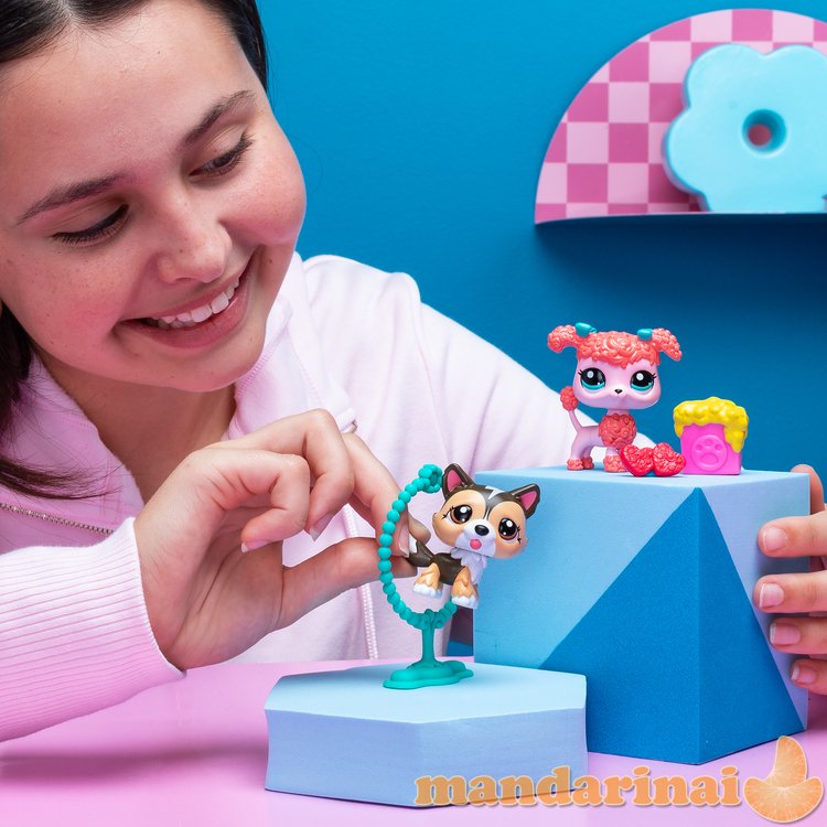 LITTLEST PET SHOP Gyvūnėliai, 2 vnt