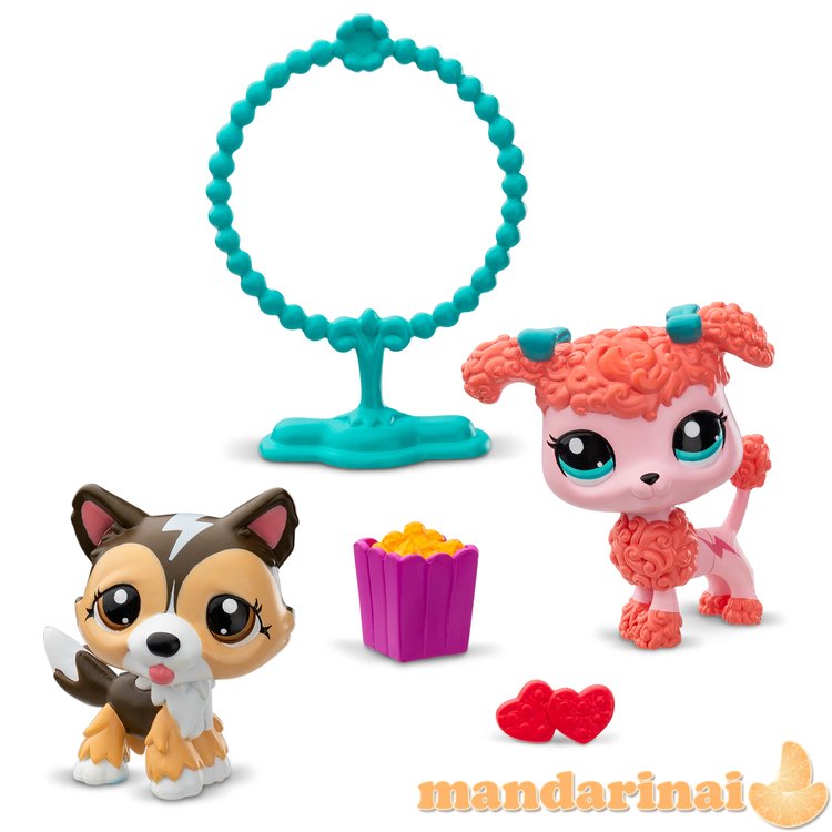 LITTLEST PET SHOP Gyvūnėliai, 2 vnt