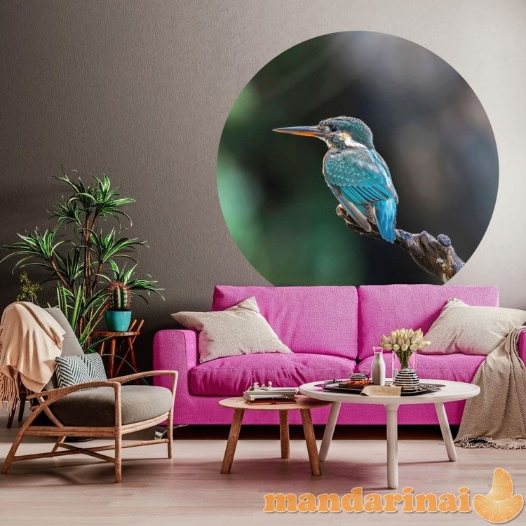 Wallart tapetai the kingfisher, 142,5cm, apskriti