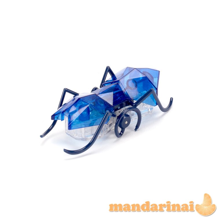 HEXBUG Interaktyvi skruzdėlė