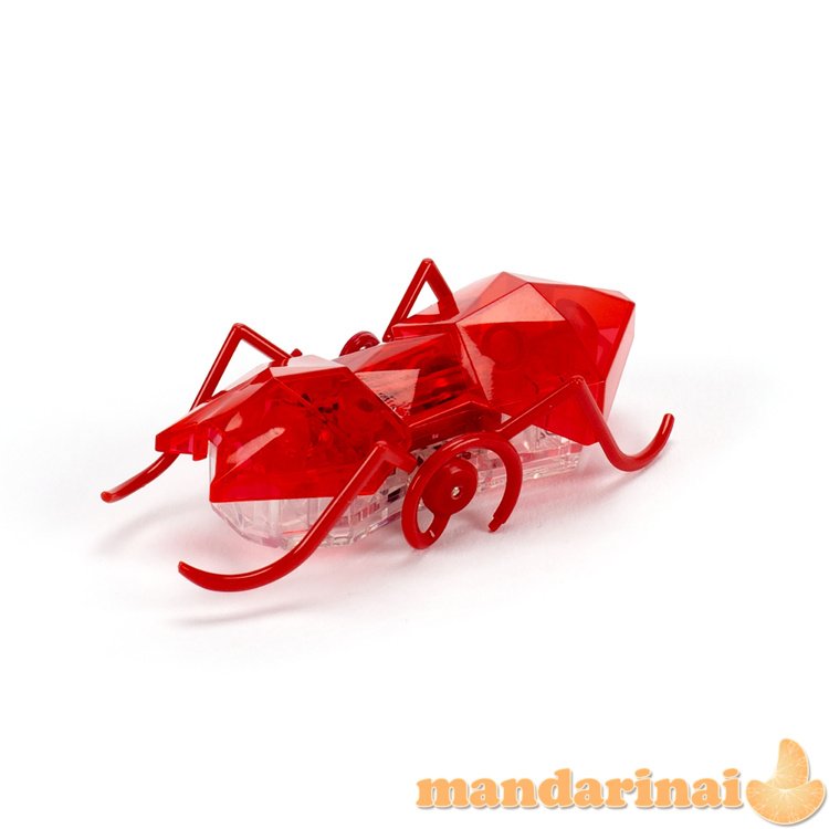 HEXBUG Interaktyvi skruzdėlė