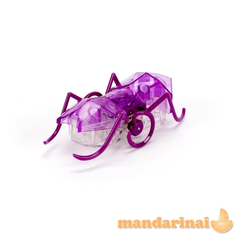 HEXBUG Interaktyvi skruzdėlė