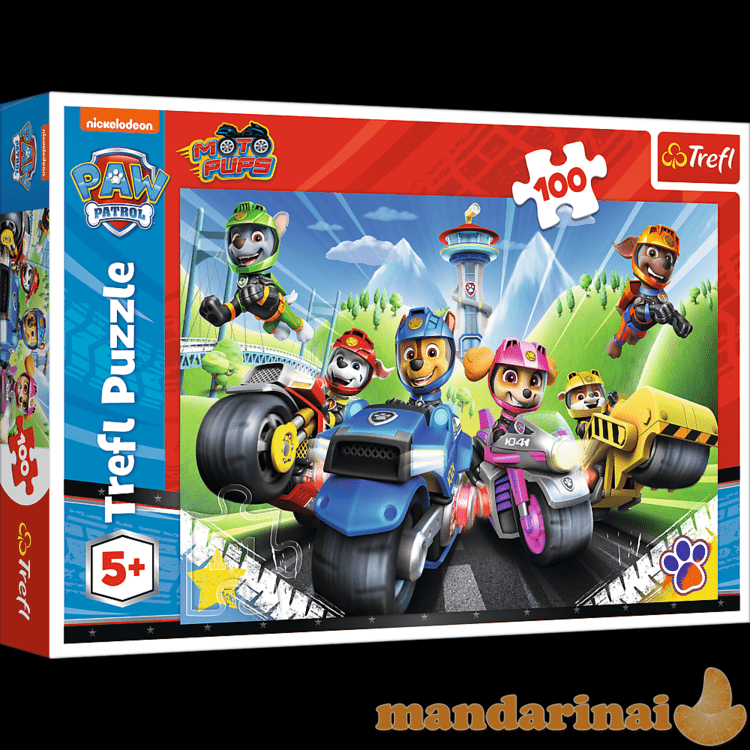 TREFL PAW PATROL dėlionė „Šuniukai-patruliai“, 100 det.