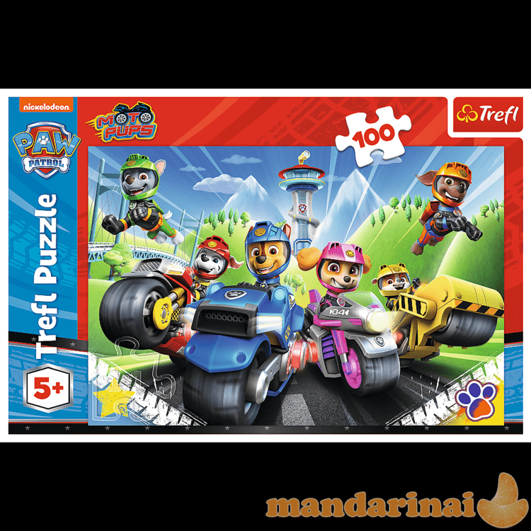 TREFL PAW PATROL dėlionė „Šuniukai-patruliai“, 100 det.