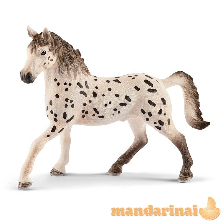 SCHLEICH HORSE CLUB Knabstrupper veislės arklys