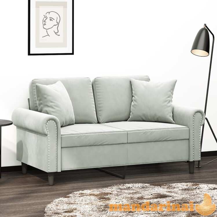 Dvivietė sofa su pagalvėlėmis, šviesiai pilka, 120cm, aksomas