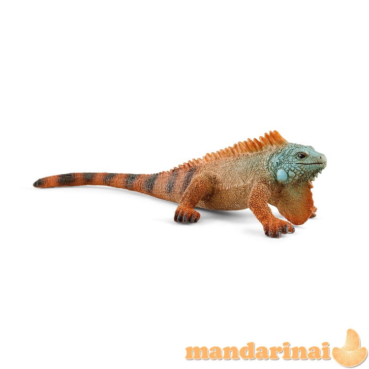 SCHLEICH WILD LIFE Iguana