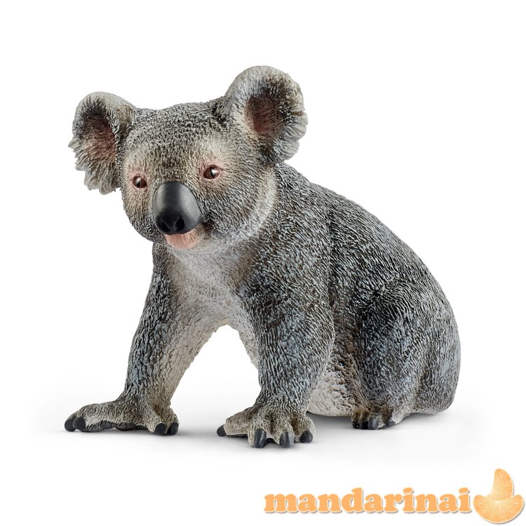 SCHLEICH WILD LIFE Koala