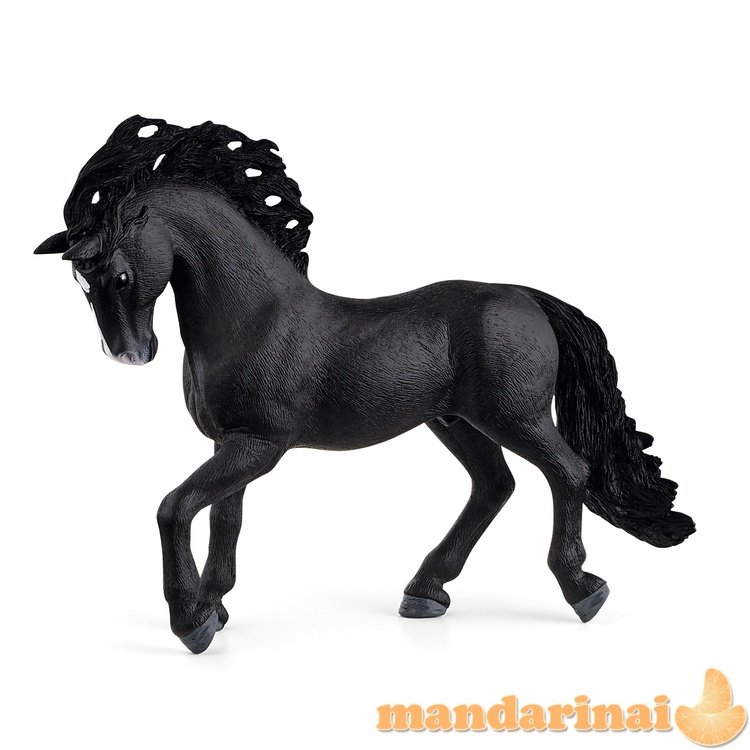 SCHLEICH HORSE CLUB „Pura Raza Española“ žirgas