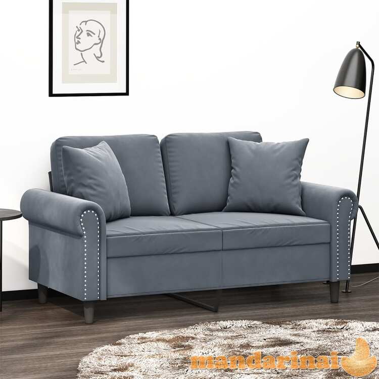 Dvivietė sofa su pagalvėlėmis, tamsiai pilka, 120cm, aksomas