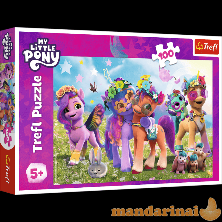 TREFL MY LITTLE PONY Dėlionė „Mano mažasis ponis“, 100 det.