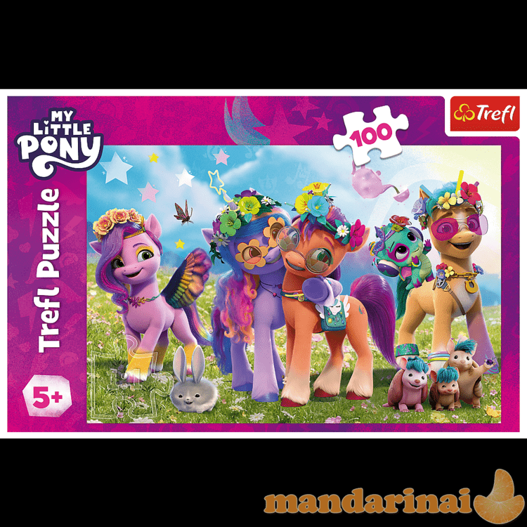 TREFL MY LITTLE PONY Dėlionė „Mano mažasis ponis“, 100 det.