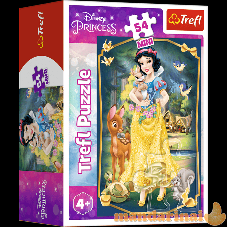 TREFL DISNEY PRINCESS dėlionė „Princesės“ 54 det.