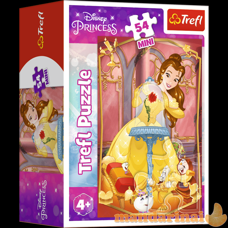 TREFL DISNEY PRINCESS dėlionė „Princesės“ 54 det.