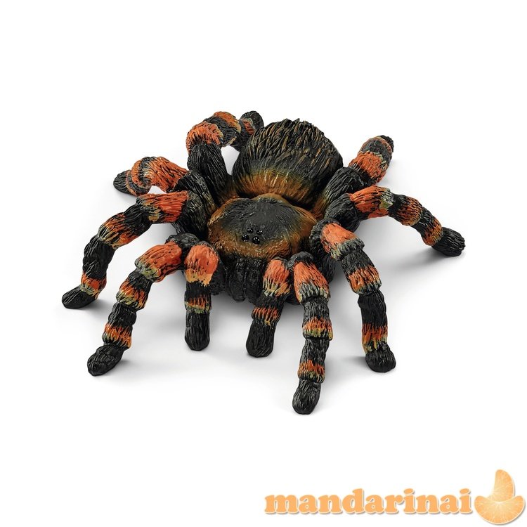 SCHLEICH WILD LIFE Tarantulas