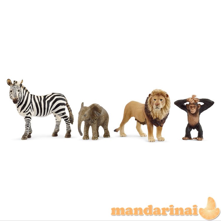 SCHLEICH WILD LIFE Wild Life Pradinis Rinkinys