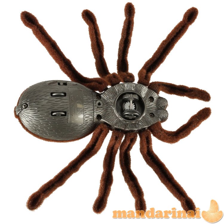 Nuotoliniu būdu valdomas TARANTULA Spider + PILOT