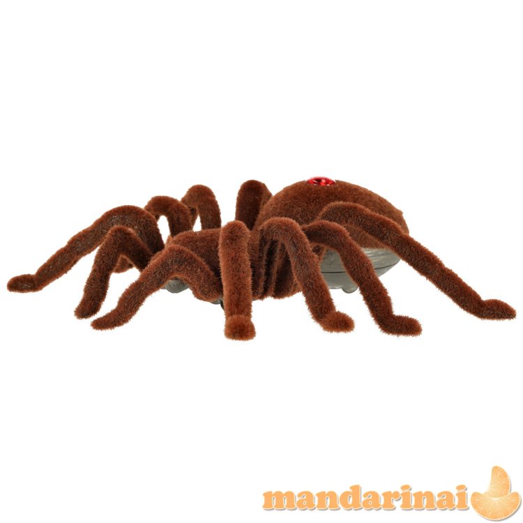 Nuotoliniu būdu valdomas TARANTULA Spider + PILOT