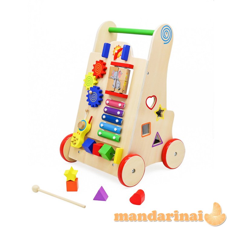 Pusher Walker Wooden Education Cube 6in1